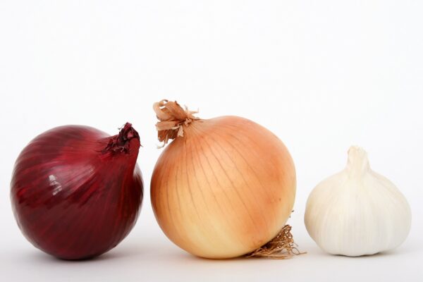 Bulbs