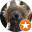 Vic Sheret Avatar