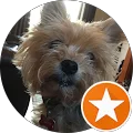 Vic Sheret Avatar